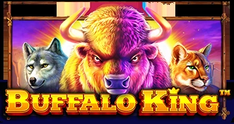 Buffalo King – automat se symboly bizonů, rozsáhlými liniemi a bonusy